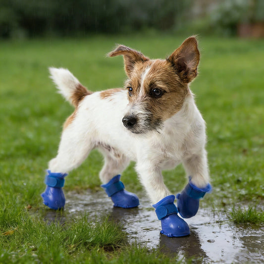 Wasserdichte Gummi-Hundestiefel mit rutschfester Sohle | inAccs19