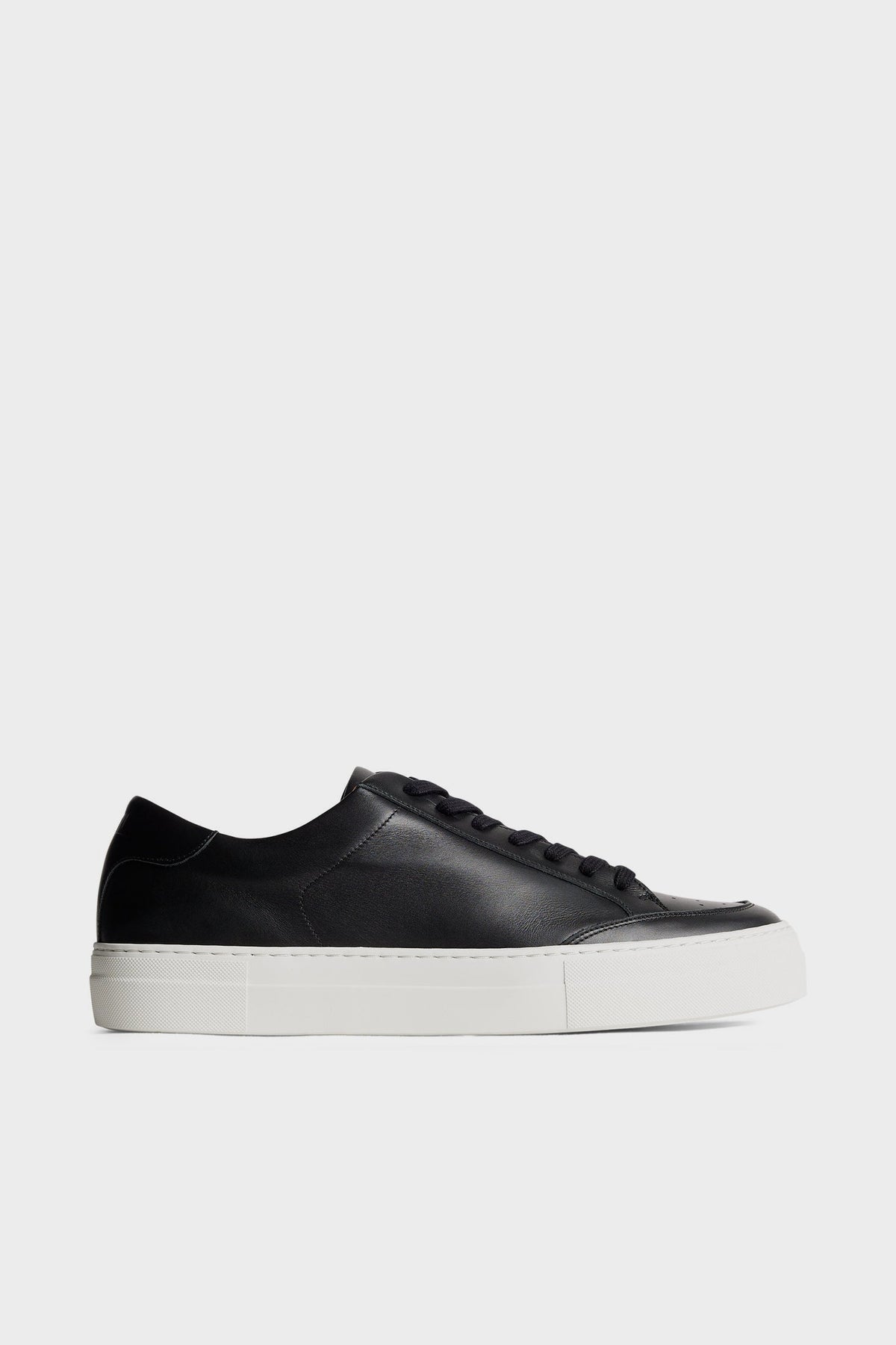 Art Signature Leather Sneaker / Black